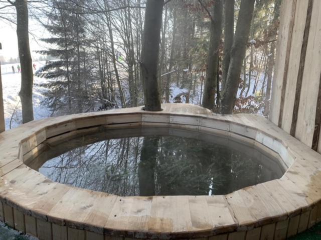 Wood House Hotell Pilipets Eksteriør bilde
